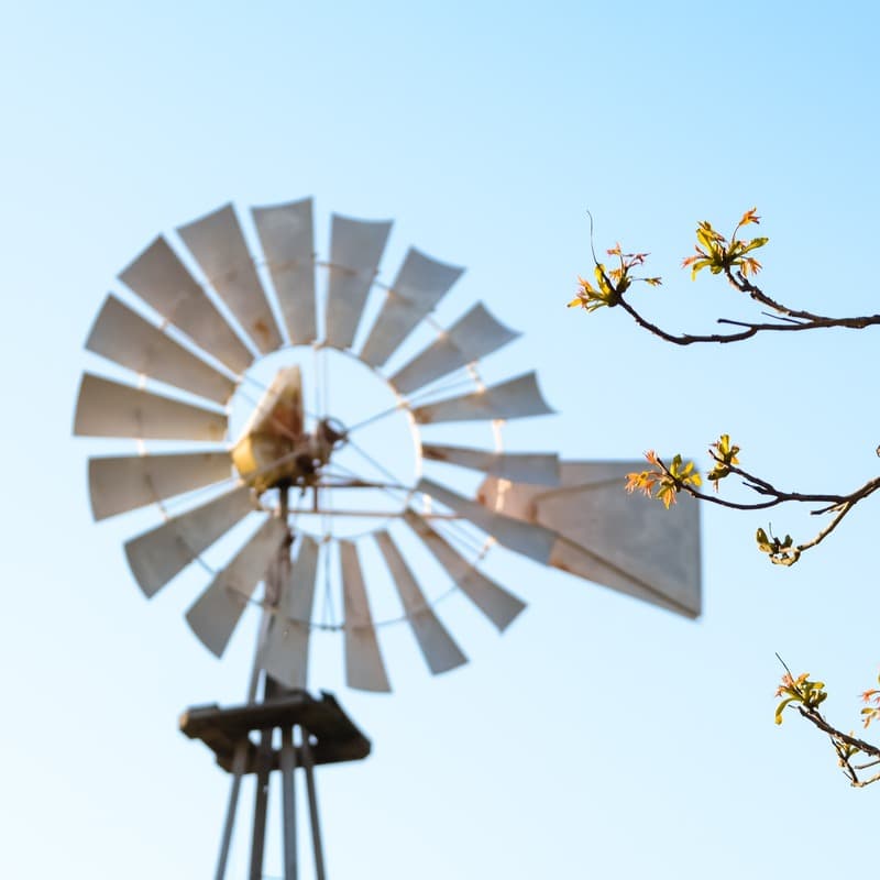 Blowin' In The Wind (arr. Dominic Meccia)