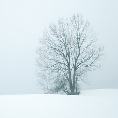 In The Bleak Midwinter (arr. Becky Muncy)