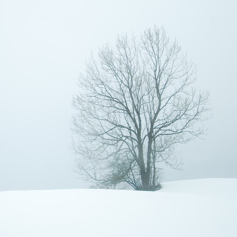 In The Bleak Midwinter (arr. Becky Muncy)