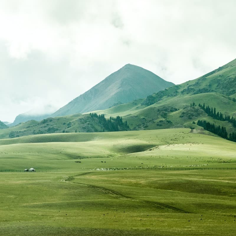 Green Grow The Rushes, O (arr. Dominic Meccia)