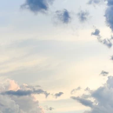 Praise My Soul the King of Heaven (arr. J. Randolph Hall)