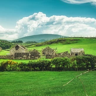 Green Green Grass Of Home (arr. Dominic Meccia)