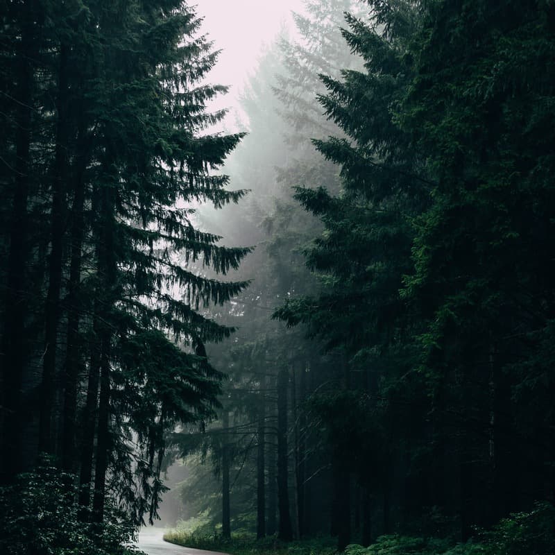 April Showers (arr. Dominic Meccia)