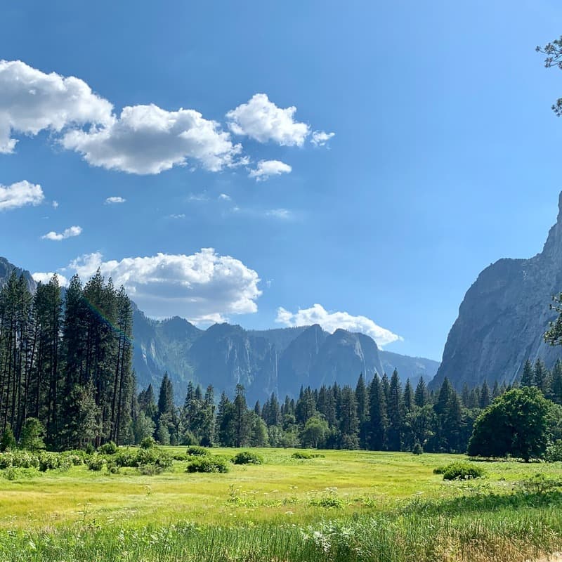 Go Down 'n the Valley and Pray (arr. J. Randolph Hall)