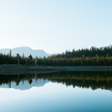 I Sing the Mighty Power of God (arr. J. Randolph Hall)
