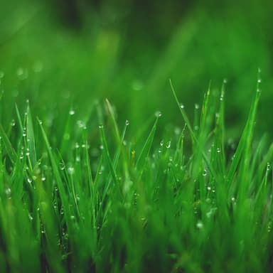 Green Green Grass of Home (arr. J. Randolph Hall)