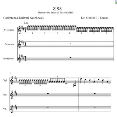 Z 98 Percussion a Voce