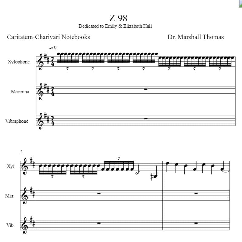 Z 98 Percussion a Voce