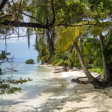 Castaways (arr. Debbie Warren)