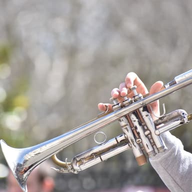 Polyphonic Fanfares Trio