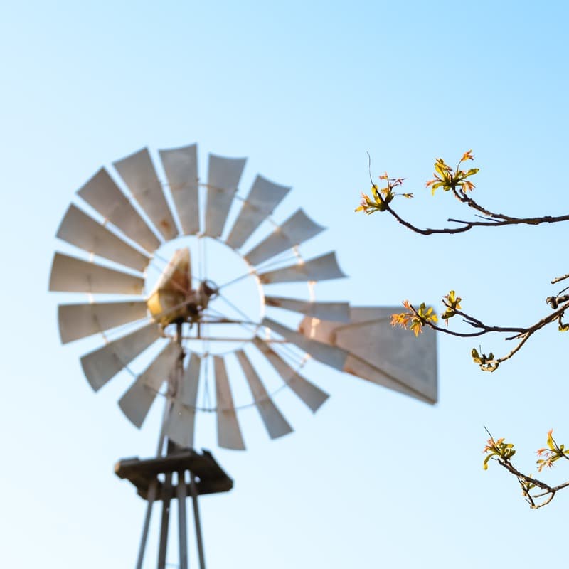 Blowin' In The Wind (arr. Dominic Meccia)