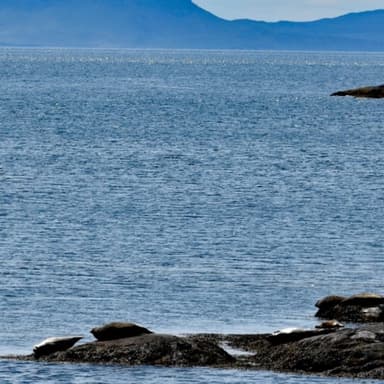 Great Silkie of Sule Skerry (TTB) (arr. Alexander Grenville)