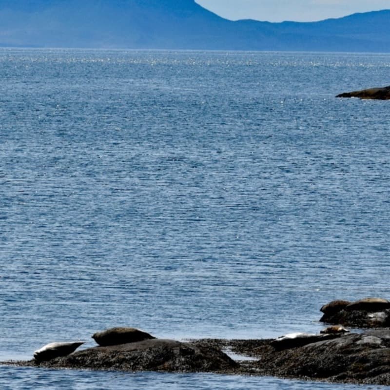 Great Silkie of Sule Skerry (TTB) (arr. Alexander Grenville)
