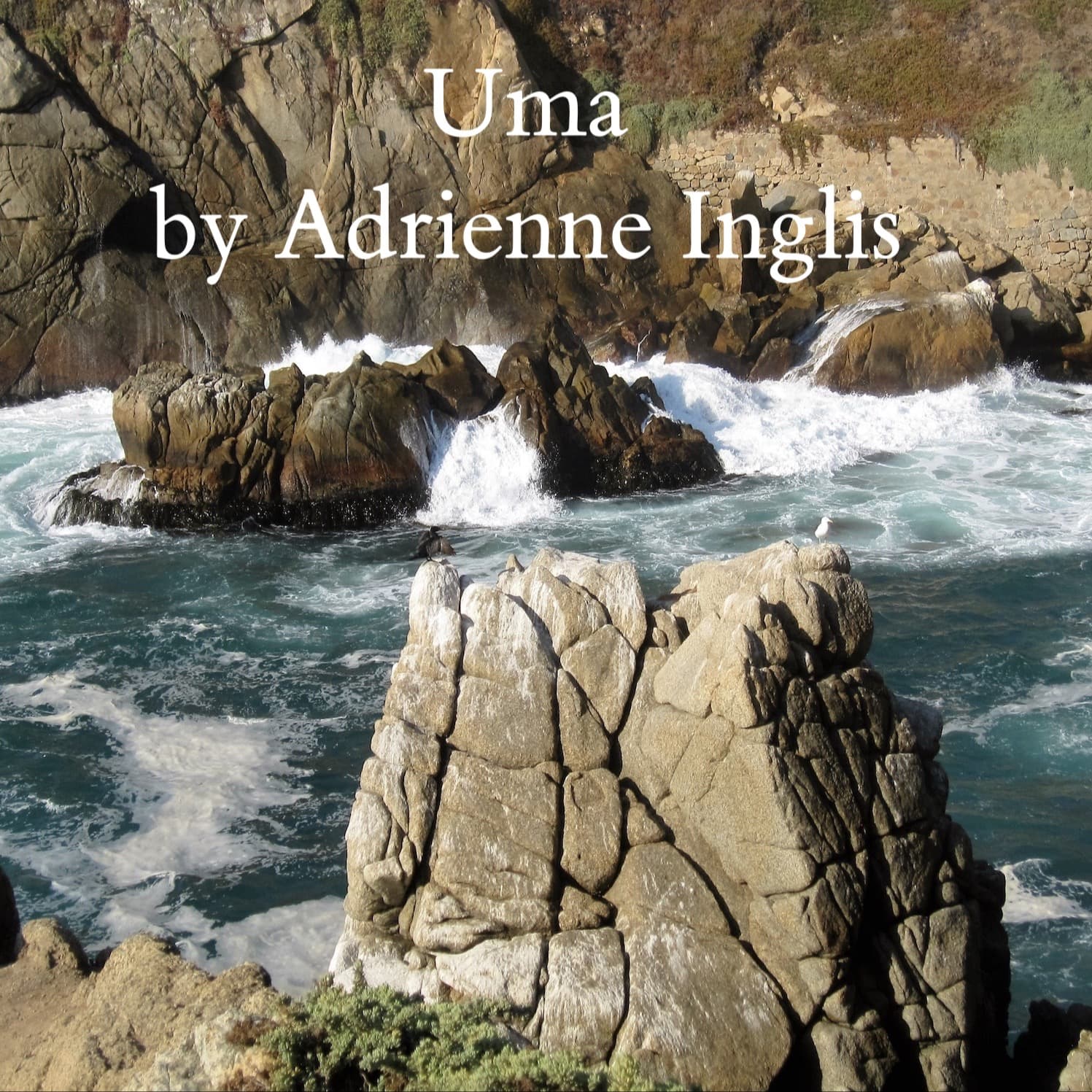 Uma for SATB and string quartet, with optional charango and sikus