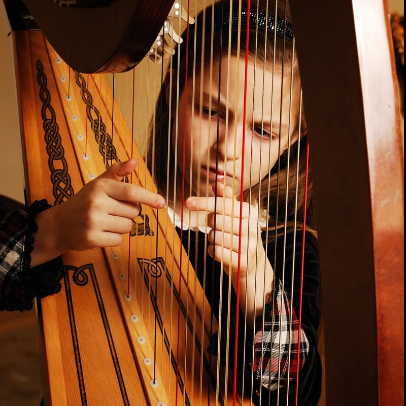 Orinoco Flow (arr. S. Mark Clardy (Lever Harp Solo))