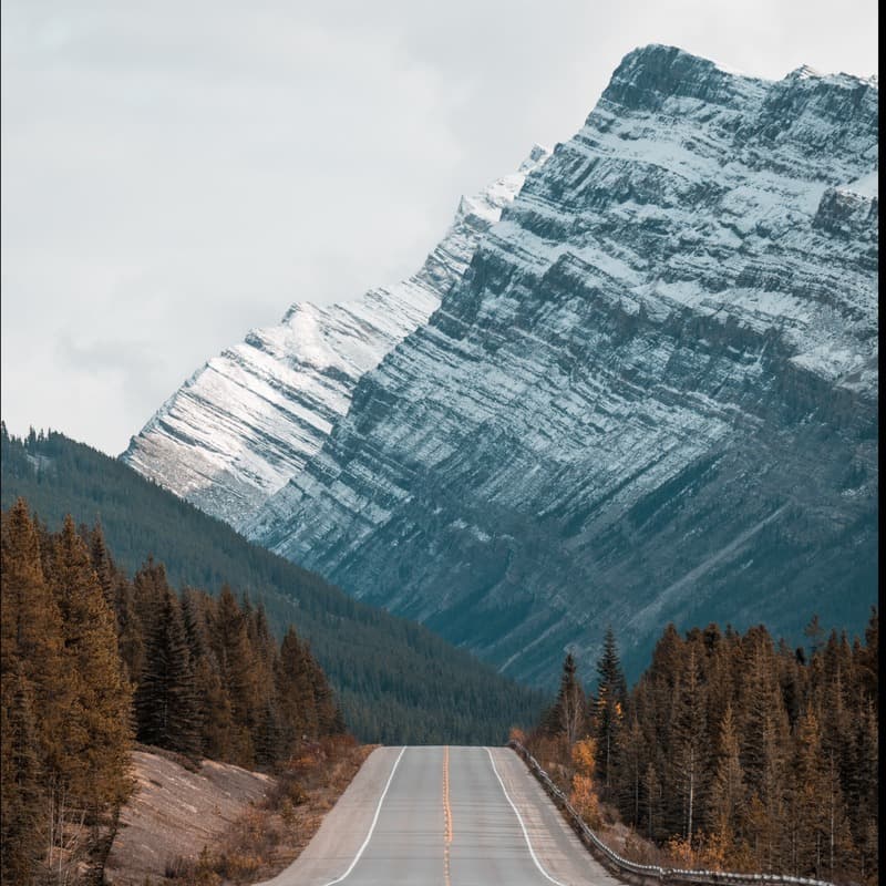 She'll Be Comin' 'Round The Mountain (arr. Dominic Meccia)