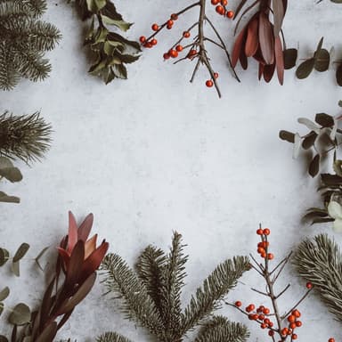 Joy To The World (arr. Dominic Meccia)