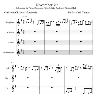 November 7th for Pitched Percussion