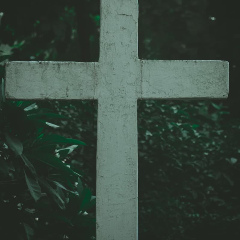O Lamb Of God Most Holy (arr. Dominic Meccia)
