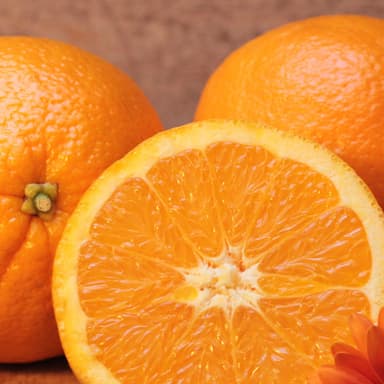 March from "Love for Three Oranges" (Prokofiev) - Brass Quintet (arr. Rob Bushnell)