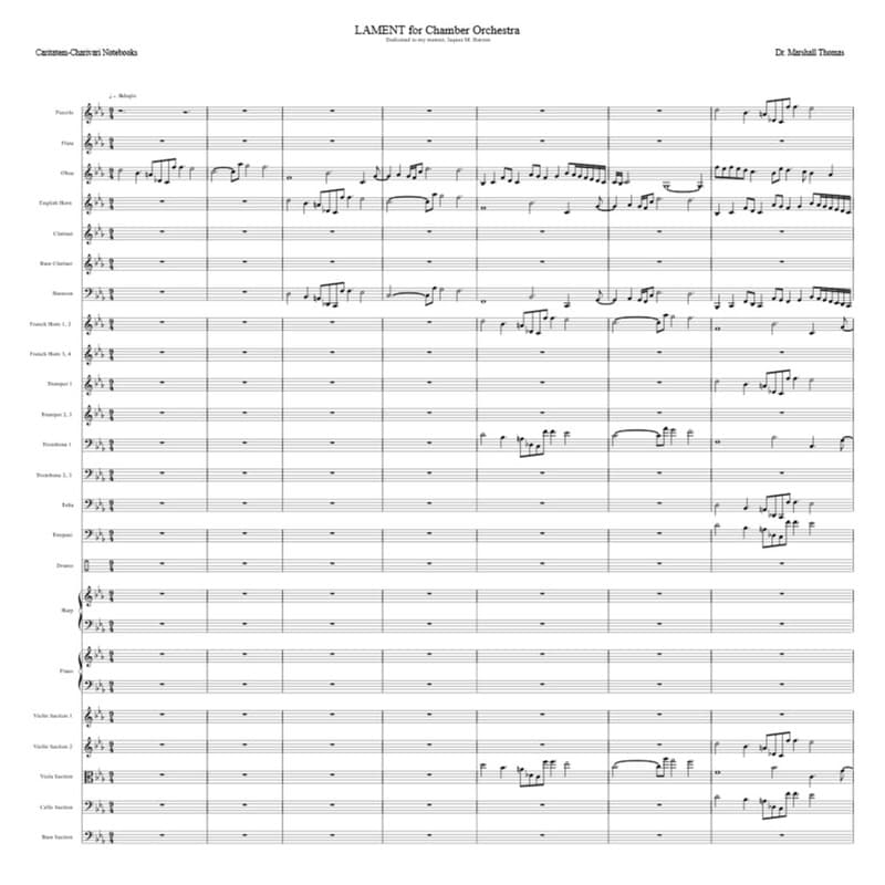 LAMENT for Chamber Orchestra