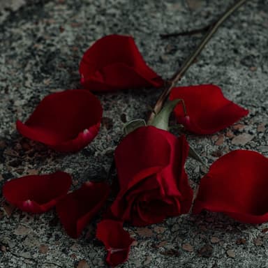 Funeral March in Bb Minor