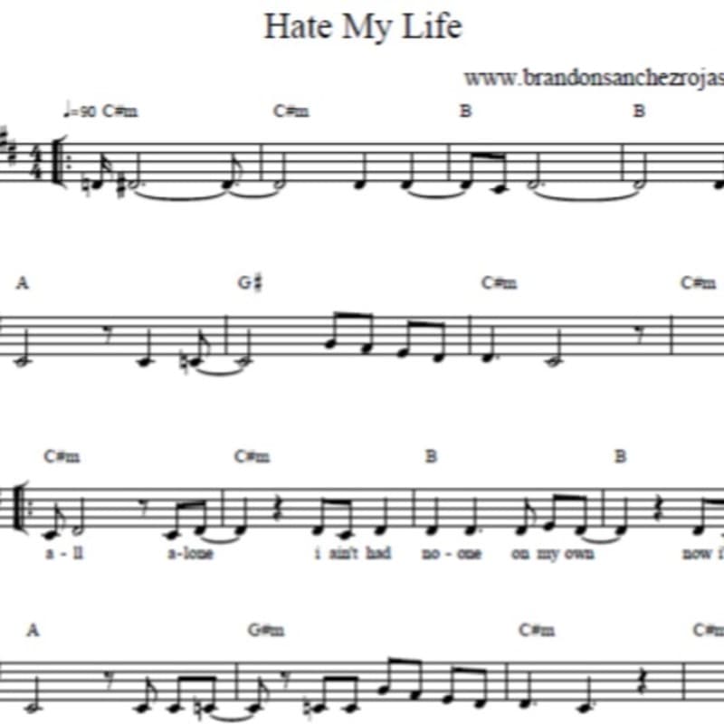 Hate My Life - Violin