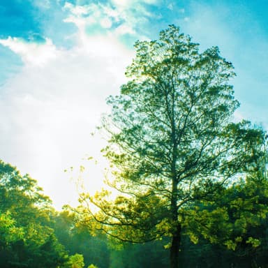 My Burdens Rolled Away (arr. J. Randolph Hall)