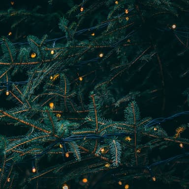 What Child Is This? - Mid-Beginner for Harp (arr. Christy-Lyn Dosé)