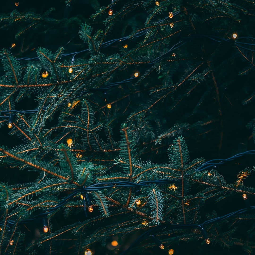 What Child Is This? - Mid-Beginner for Harp (arr. Christy-Lyn Dosé)