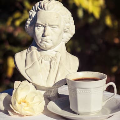 Symphony No. 5 In C Minor, Op. 67 (arr. Noriko W.D.)