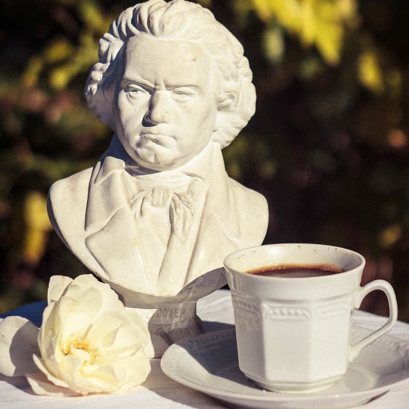 Symphony No. 5 In C Minor, Op. 67 (arr. Noriko W.D.)