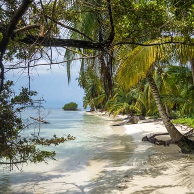 Castaways (arr. Debbie Warren)
