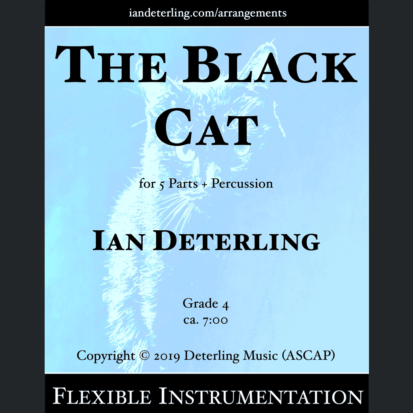 The Black Cat (for flexible instrumentation)