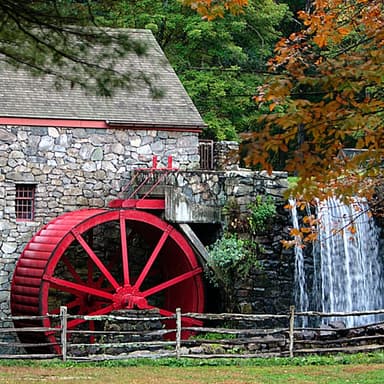 Wayside Cider