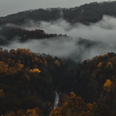 On Top Of Old Smoky (arr. Dominic Meccia)