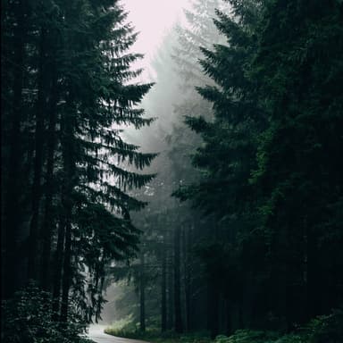 April Showers (arr. Dominic Meccia)
