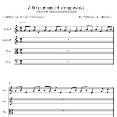 Z 80 (a nuanced string work)