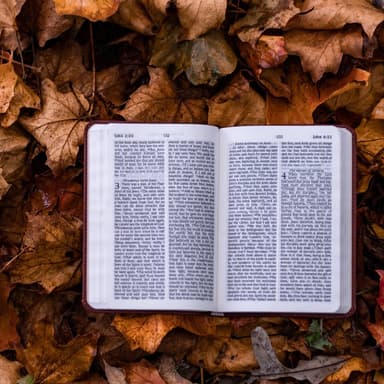 Come, Ye Thankful People, Come (arr. Dominic Meccia)
