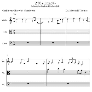 Z 30 (intrada) for String Trio