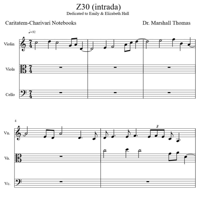 Z 30 (intrada) for String Trio