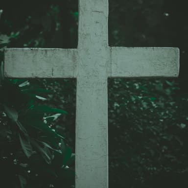 O Lamb Of God Most Holy (arr. Dominic Meccia)
