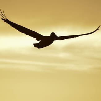 Up Where We Belong (arr. Avis Balkcom-Williams)