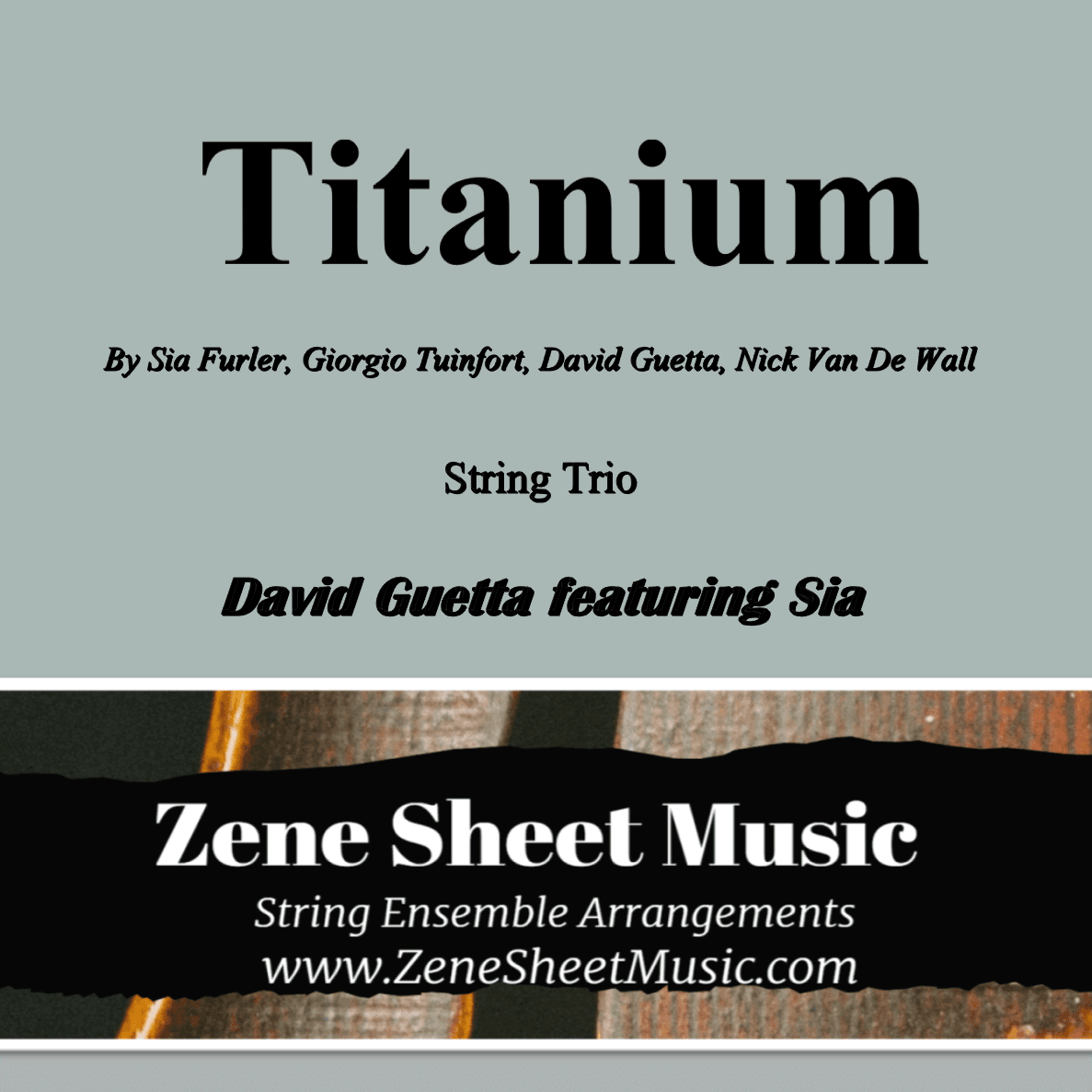 Titanium (arr. Eve C. Mailly - Zene Strings)
