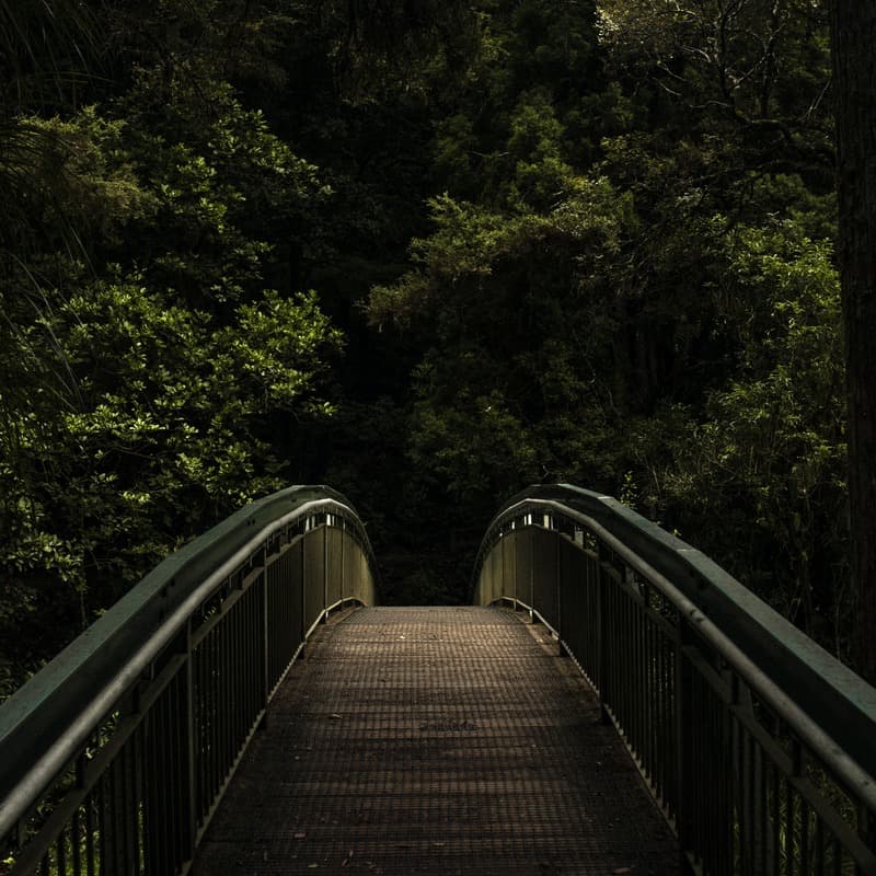 Bridge Over Troubled Water (arr. Dominic Meccia)