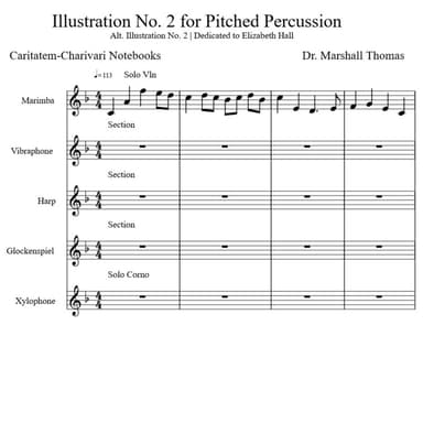 Illustration No. 2 for Pitched Percussion