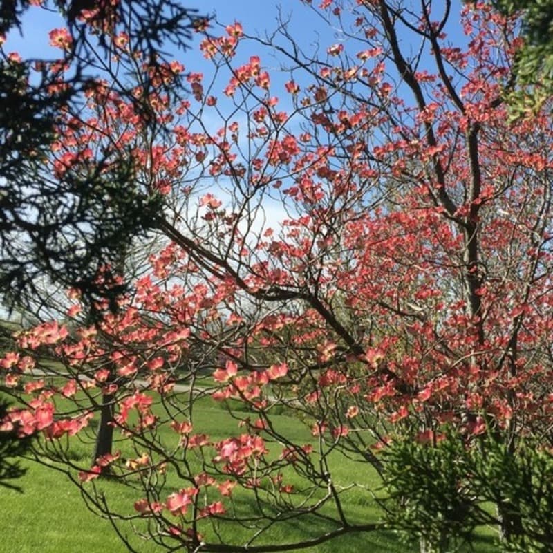 Bloom Where You're Planted