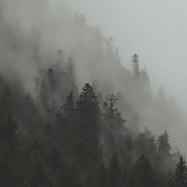 The Foggy Dew (arr. Dominic Meccia)