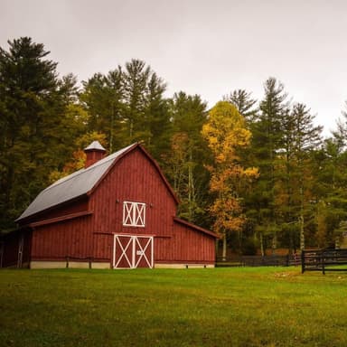 Old Macdonald Had A Farm (arr. Dominic Meccia)