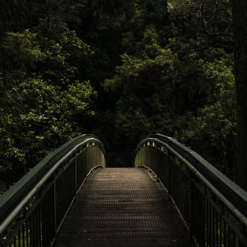 Bridge Over Troubled Water (arr. Dominic Meccia)
